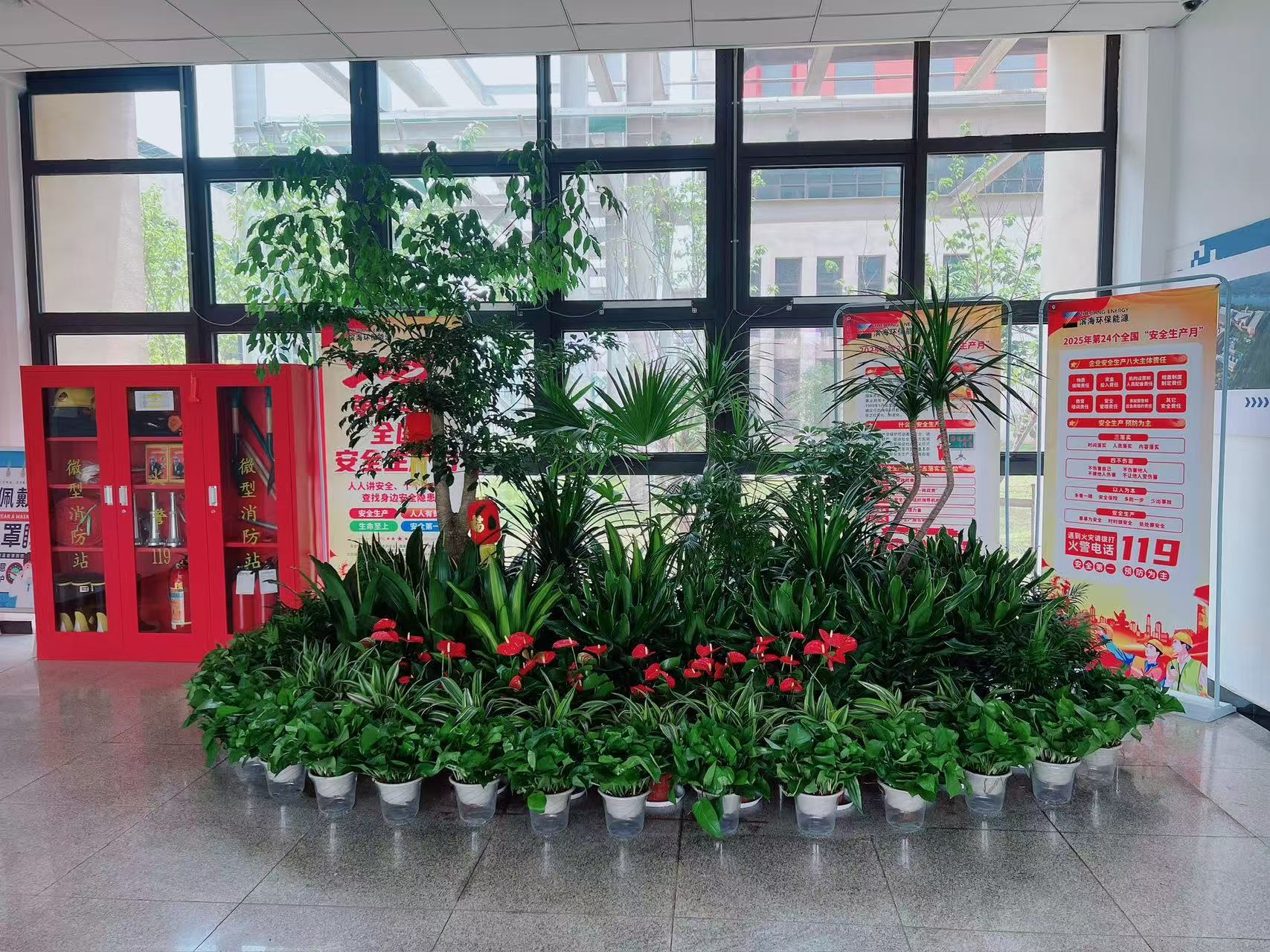 宁波江北盆景租摆方案亡